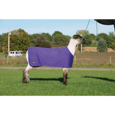 Image showing  Sheep Underblanket