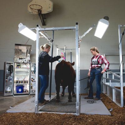 Image showing  Kirk Stierwalt Professional Cattle Chute, 8 ft.