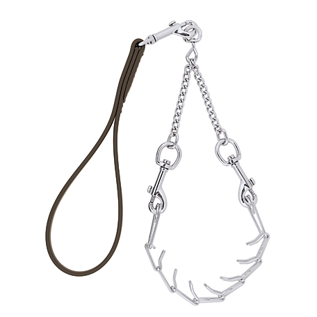 Weaver Leather Pronged Chain Goat Collar and Lead Set