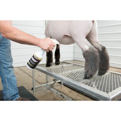 Image showing  Aluminum Trimming Stand with Adjustable Head Piece