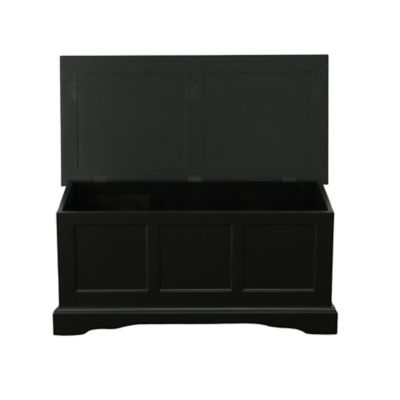 Image showing 9 th Carolina Chair & Table Havanna Storage Chest, Antique Black