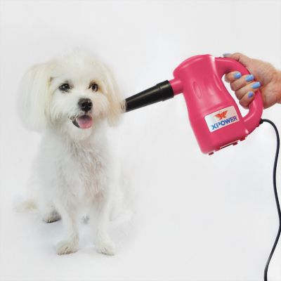 Image showing  Airrow Pro Multi-Purpose Pet Dryer, B-53-PINK