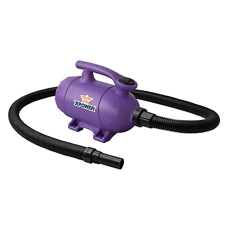 XPOWER Pro at Home Pet Grooming Force Dryer & Vacuum, B-2-PURPLE