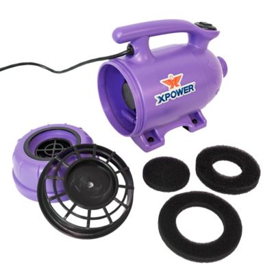 Image showing 6 th XPOWER Pro at Home Pet Grooming Force Dryer & Vacuum, B-2-PURPLE