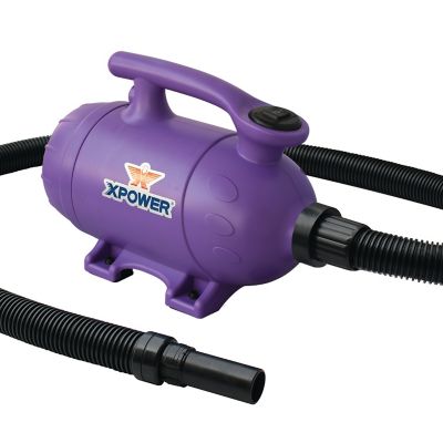 XPOWER B-2-Purple