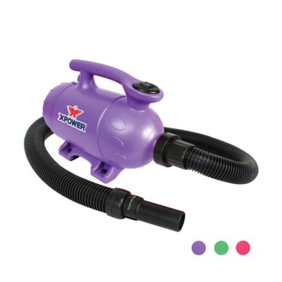 Image showing  Pro at Home Pet Grooming Force Dryer & Vacuum, B-2-PURPLE