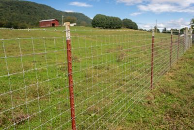 Image showing  330 ft. x 12.5 Gauge 1348-4 High-Tensile Sheep and Goat Fence