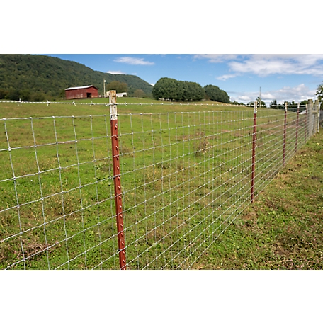 Escape Proof Goat Fencing Woven Wire Fence for Goats - China Fence