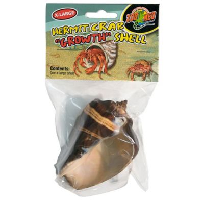 Zoo Med Hermit Crab Growth Shells, 1-Pack, Extra Large