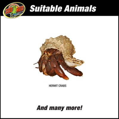 Image showing  ReptiHabitat Terrarium Kit, Hermit Crab 10 gal.