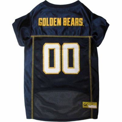 dog bears jersey