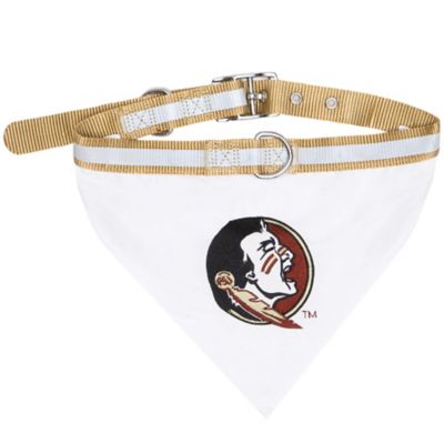fsu dog bandana