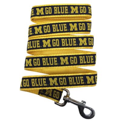 Image showing  Michigan Wolverines Nylon Dog Leash