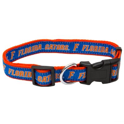 florida gators dog collar