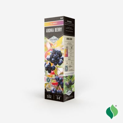 Image showing  Aronia Berry