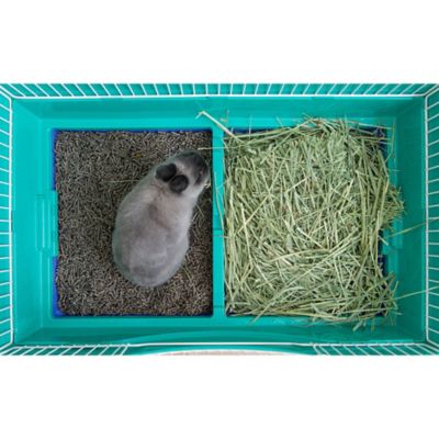 Image showing  Mobile Wire Small Animal House, 33.11 in. x 20.71 in., Green