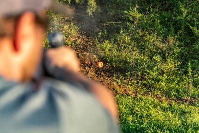 Image showing  Pigeon Perch Clay Target Holder