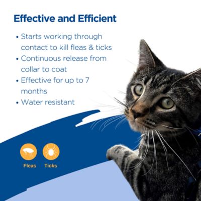 Image showing  Breakaway Flea and Tick Collar for Cats, 1-Month Supply
