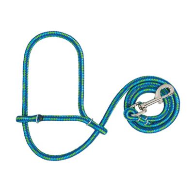 Weaver Livestock Poly Rope Sheep Halter with Snap, Lime/Hurricane Blue/Royal Blue