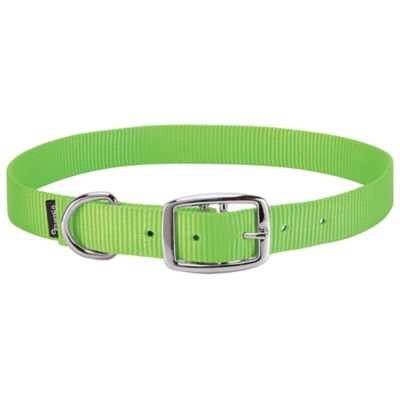 Weaver Leather 5/8 in. Small Goat Collar, Small, Lime