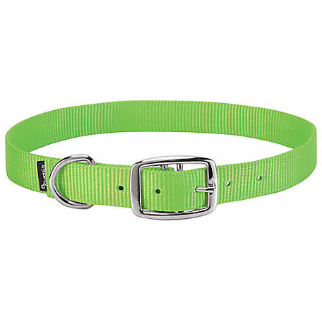 Weaver Leather 5/8 in. Small Goat Collar, Small, Lime