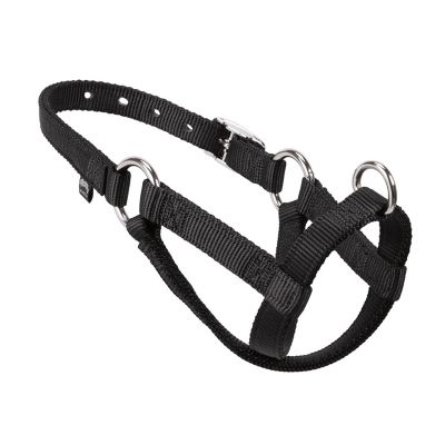 Weaver Leather Small Sheep/Goat Walking Halter in Black