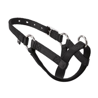 Weaver Leather Nylon Small Sheep/Goat Walking Halter in Black