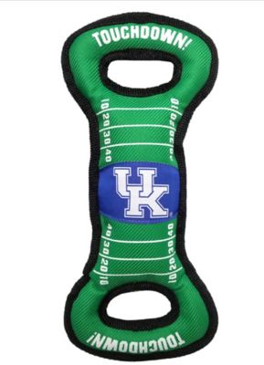 Image showing  Kentucky Wildcats Dog Field Toy