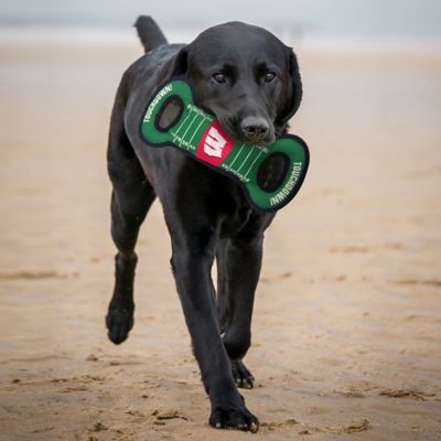Image showing  Wisconsin Badgers Dog Field Toy