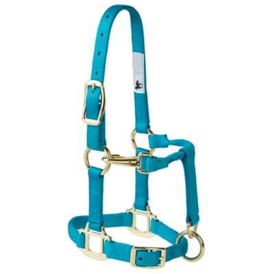 Weaver Leather Nylon Adjustable Breakaway Yearling Halter at Tractor Supply  Co.