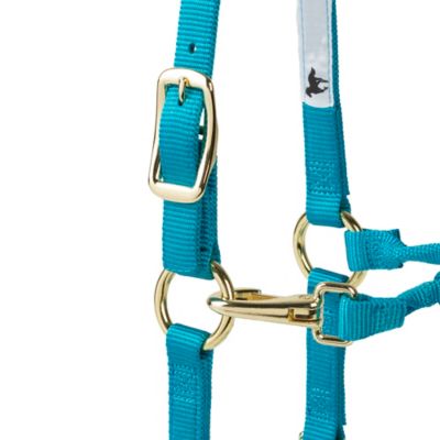 Image showing  Premium Halter