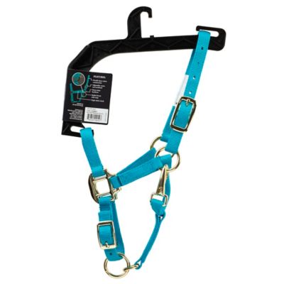 Image showing  Premium Halter