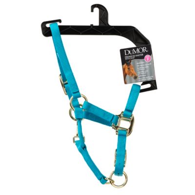 Image showing  Premium Halter