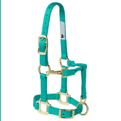 DuMOR Premium Horse Halter, Turquoise