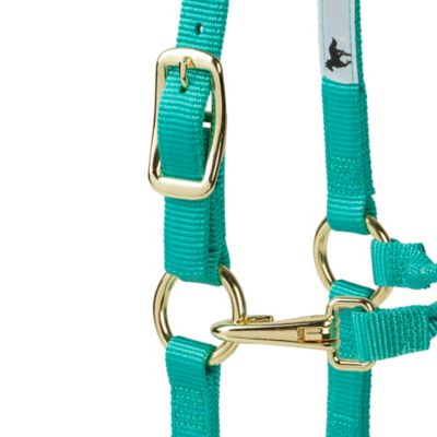 Image showing  Premium Nylon Horse Halter, Turquoise