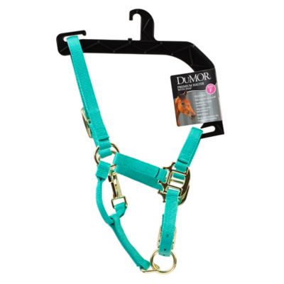 Image showing  Premium Nylon Horse Halter, Turquoise