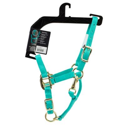 Image showing  Premium Nylon Horse Halter, Turquoise