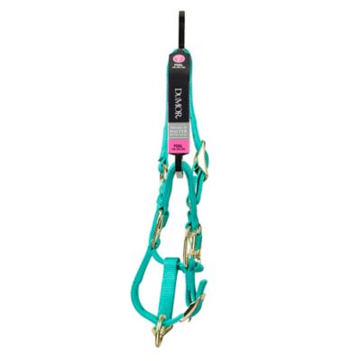 Image showing  Premium Nylon Horse Halter, Turquoise