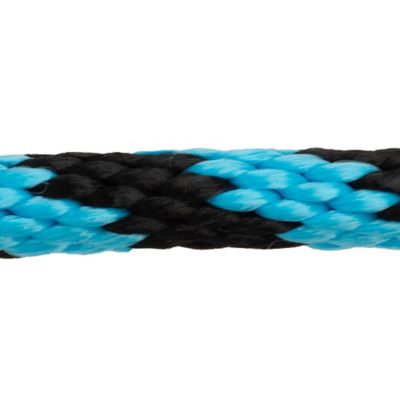 Image showing  1 in. x 10 ft. Polyester Horse Lead with Bolt Snap