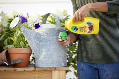 Image showing  32 oz. Liquid All-Purpose Plant Food Concentrate