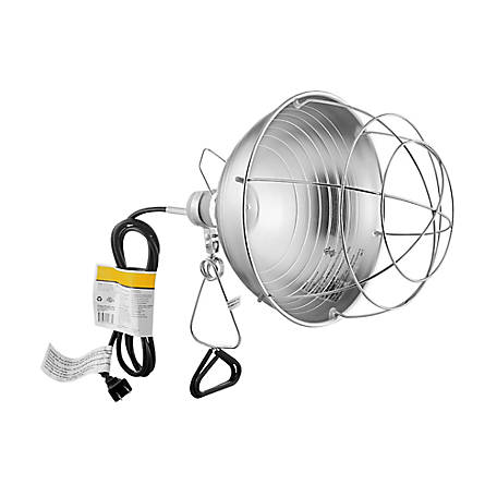 agricultural lamp for chickens