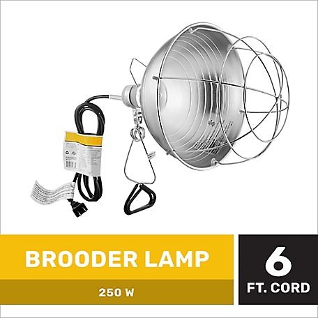 Producer's Pride Chick Brooder Lamp, 6 ft. Cord, 250W