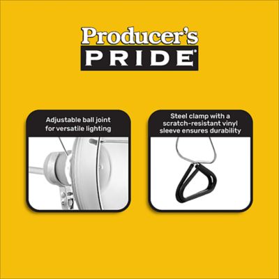 Image showing  Chick Brooder Lamp, 6 ft. Cord, 250W