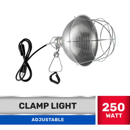 JobSmart 250W Adjustable Clamp Brooder Light with Switch 10.5 in. Reptile Habitat Heat Lamps & Bulbs