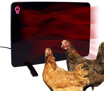 Cozy Chicken Coop Flat Panel Heater 200w At Tractor Supply Co