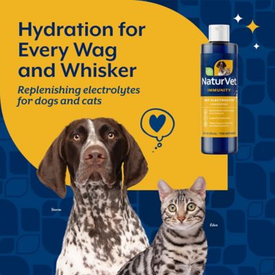 Image showing  Pet Electrolyte Concentrate for Dogs and Cats, 16 oz.