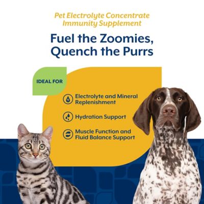 Image showing  Pet Electrolyte Concentrate for Dogs and Cats, 16 oz.