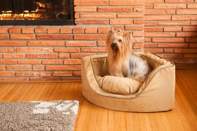 Snoozer Luxury Micro Suede Corner Pillow Dog Bed