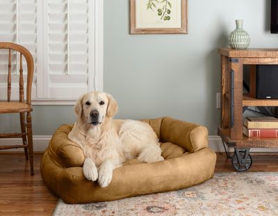 Image showing  Luxury Micro Suede Overstuffed Sofa Dog Bed