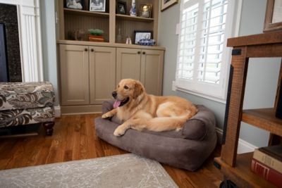 Snoozer Luxury Micro Suede Overstuffed Sofa Dog Bed